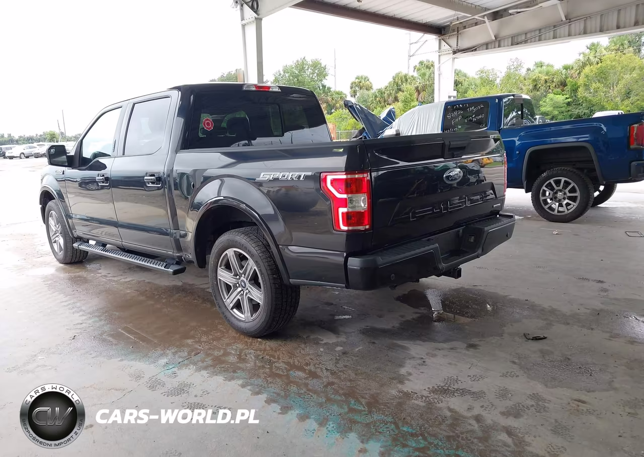 2019 Ford F-150 Xlt VIN:1FTEW1CP2KFC16791 - 3