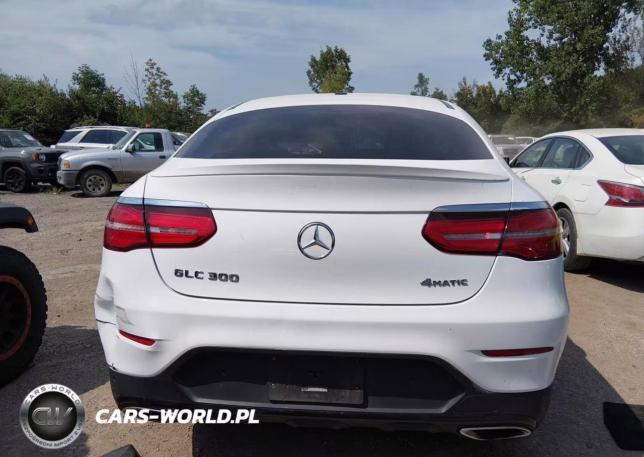 2019 Mercedes-Benz Glc 300 Coupe 4Matic VIN:WDC0J4KB1KF631692 - 16