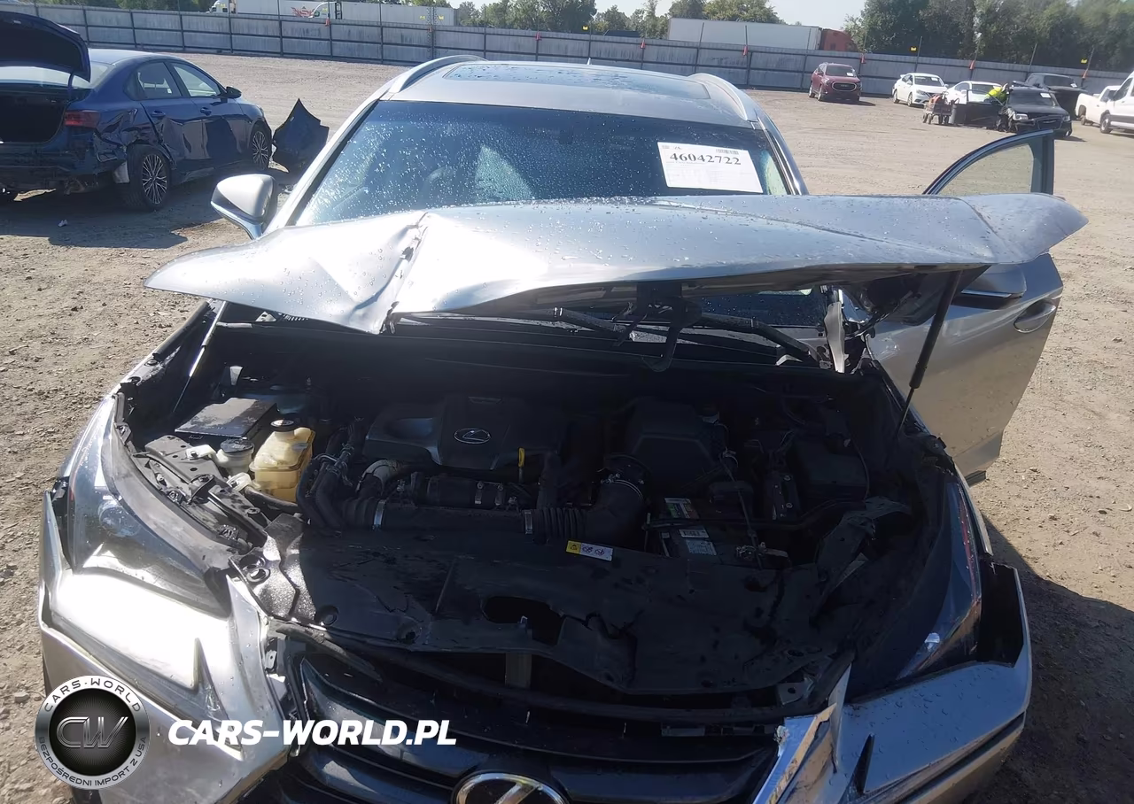2017 Lexus Nx 200T VIN:JTJBARBZ0H2123137 - 10