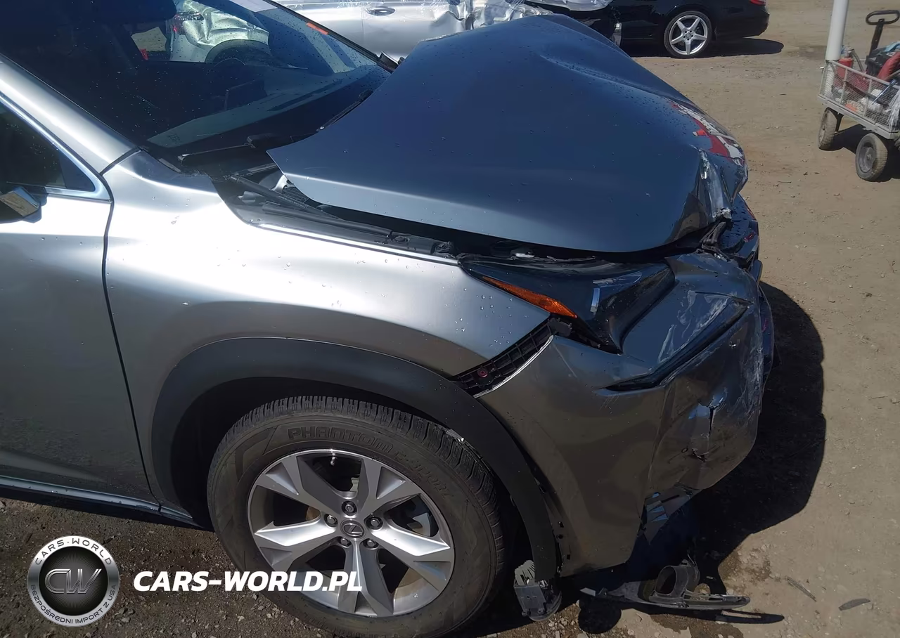 2017 Lexus Nx 200T VIN:JTJBARBZ0H2123137 - 19