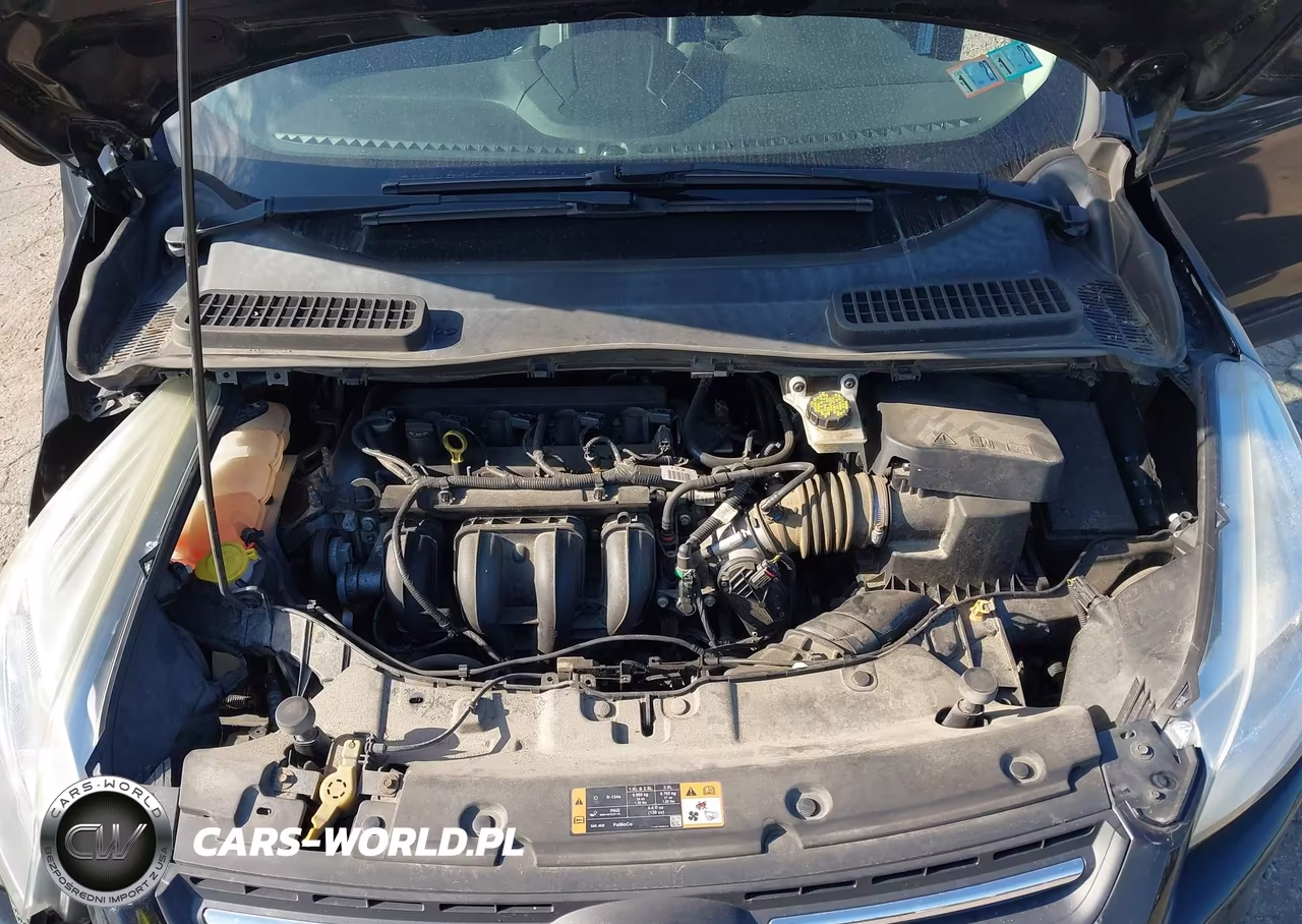 2016 Ford Escape Se VIN:1FMCU0G7XGUB67338 - 10