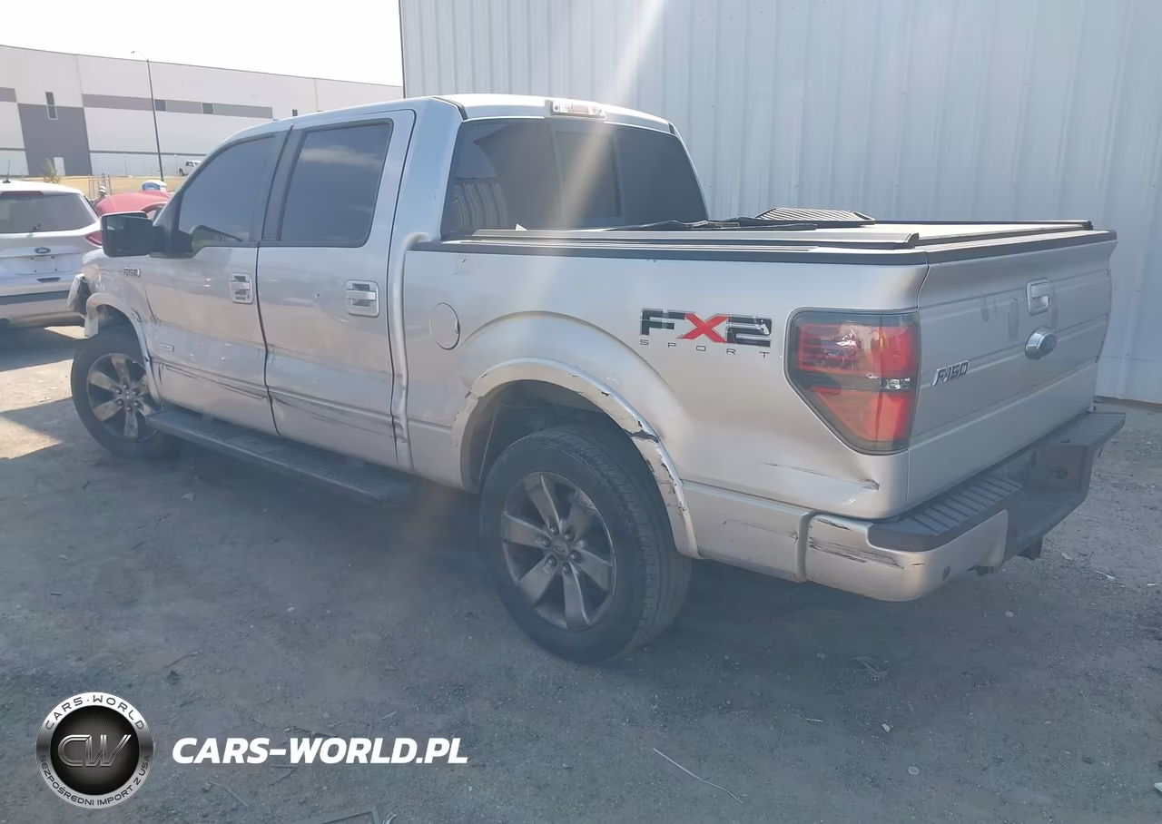 2011 Ford F-150 Fx2 VIN:1FTFW1CT2BKD69941 - 3