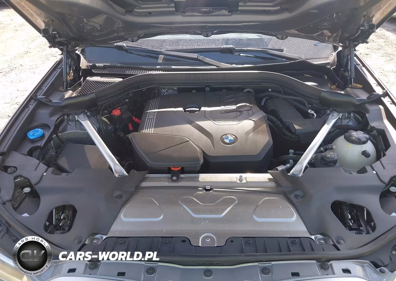 2024 BMW X3 Sdrive30I VIN:5UX43DP04R9X28434 - 10