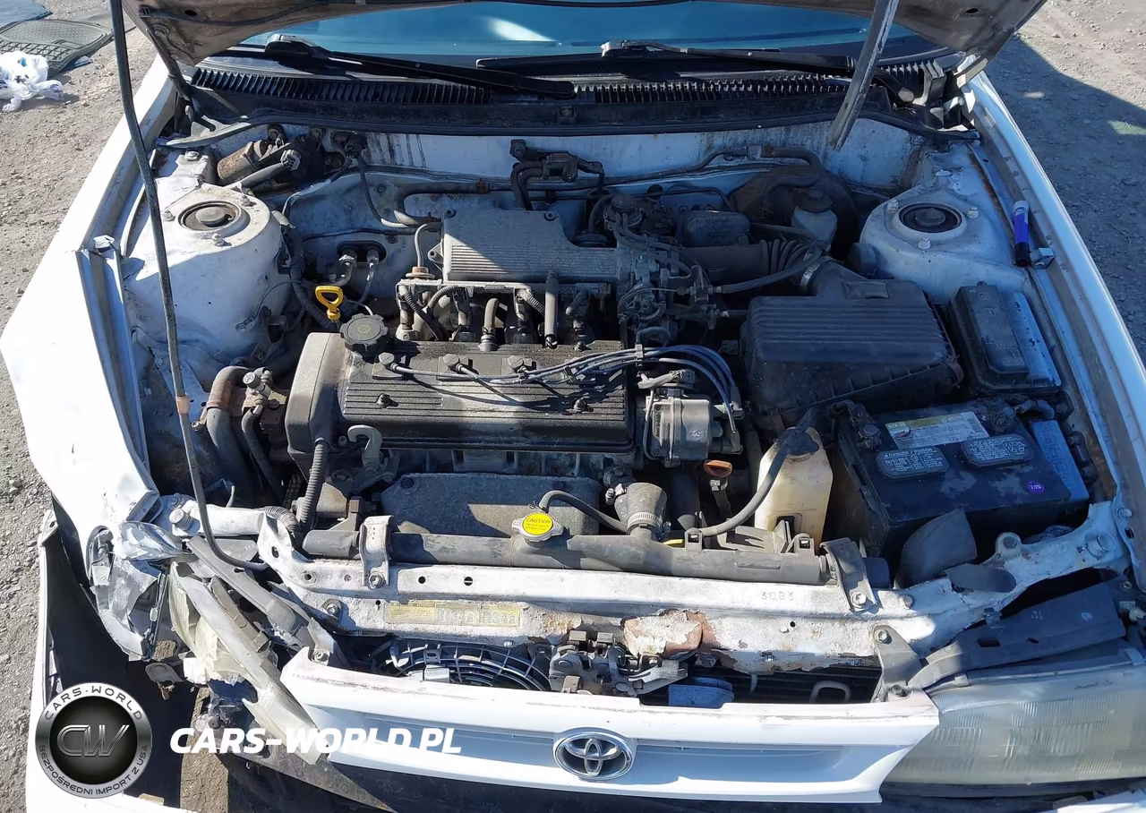 1995 Toyota Corolla VIN:1NXAE04B9SZ261166 - 10