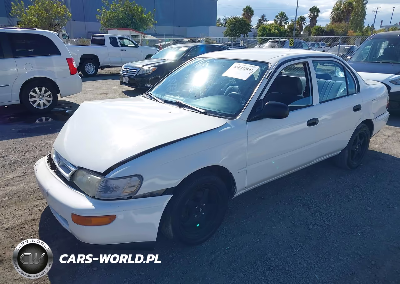 1995 Toyota Corolla VIN:1NXAE04B9SZ261166 - 2