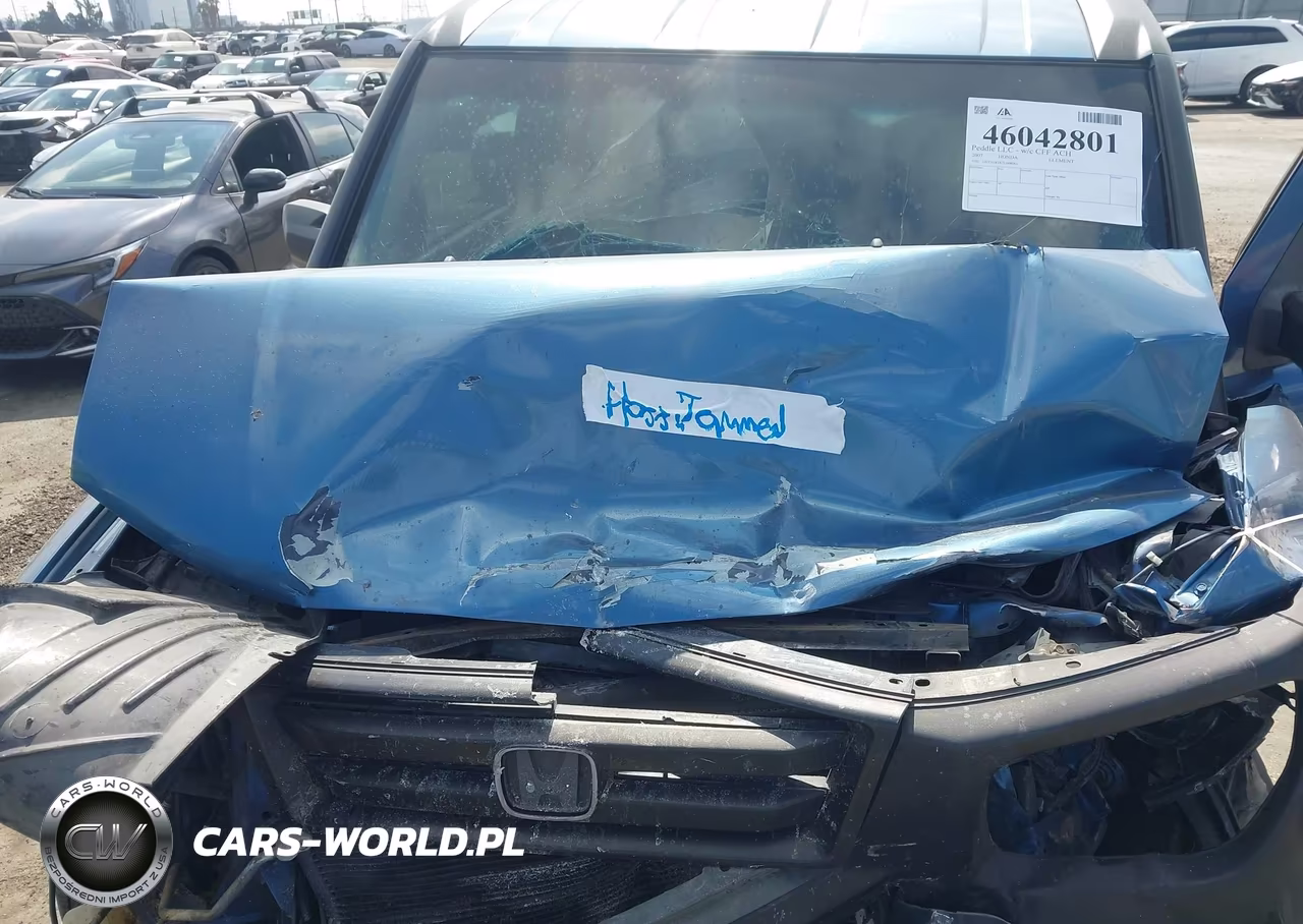 2007 Honda Element Lx VIN:5J6YH183X7L008061 - 10