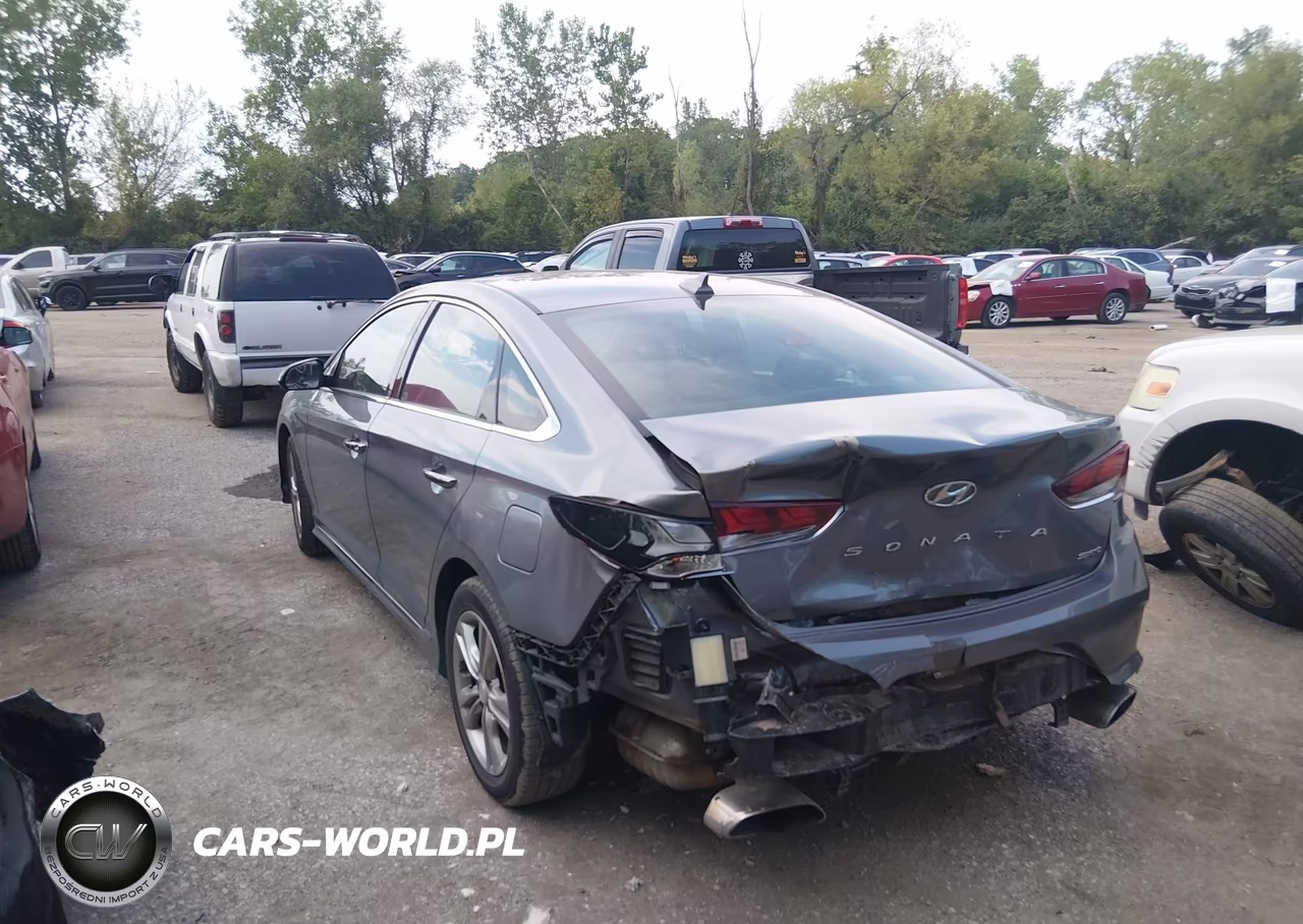 2018 Hyundai Sonata Sport+ VIN:5NPE34AF8JH708184 - 3