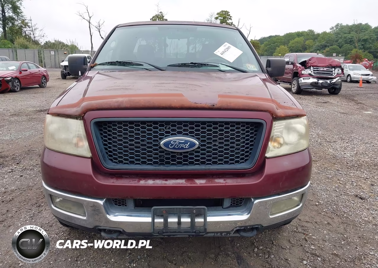 2004 Ford F-150 Fx4-Lariat-Xl-Xlt VIN:1FTPX14534NA72356 - 6
