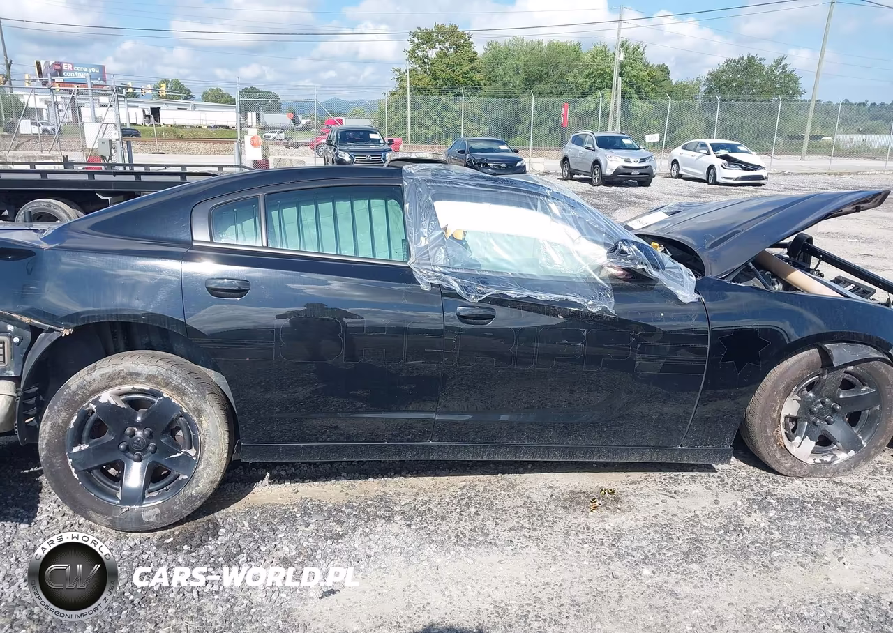 2021 Dodge Charger Police Rwd VIN:2C3CDXAT5MH684682 - 13