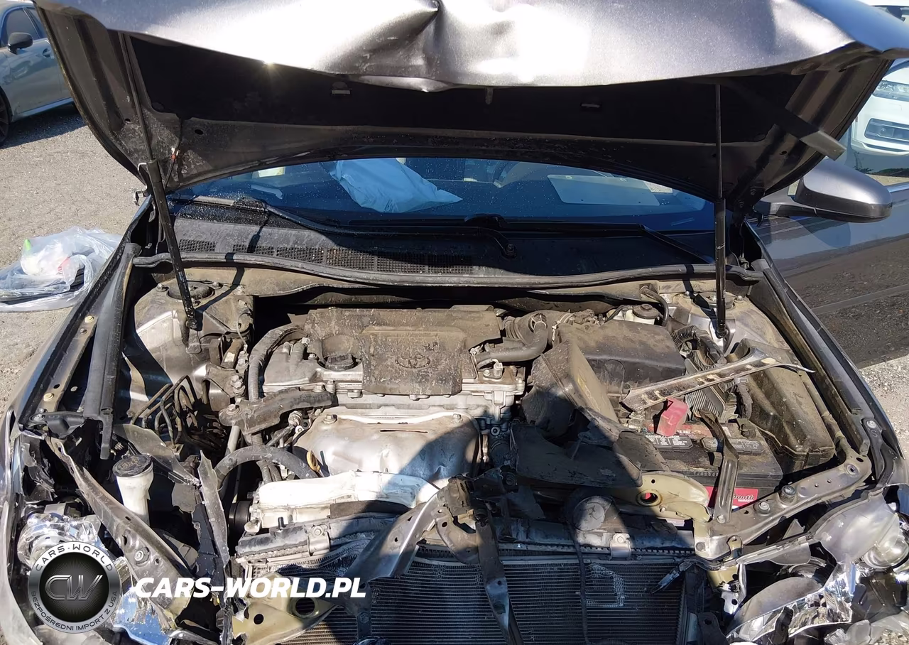 2017 Toyota Camry Se VIN:4T1BF1FK6HU367328 - 10