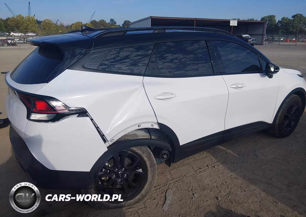 2024 Kia Sportage X-Pro VIN:5XYK7CDF8RG193090 - 4