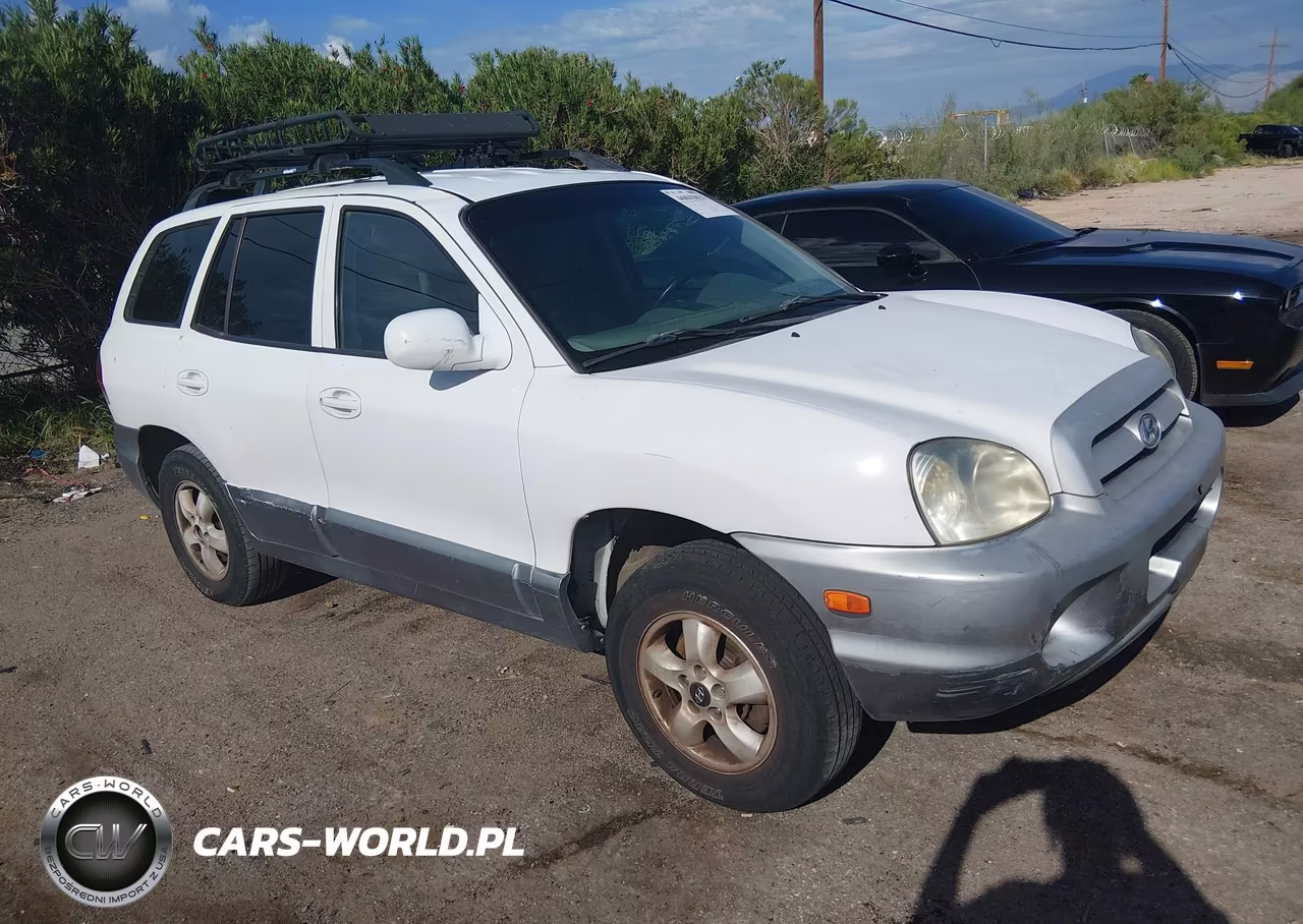 2005 Hyundai Santa Fe Gls