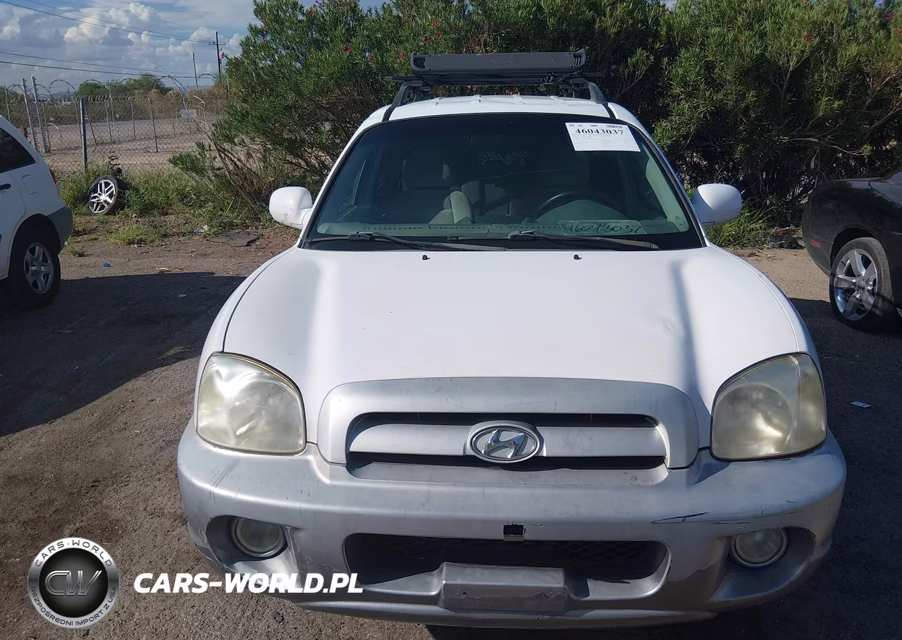 2005 Hyundai Santa Fe Gls VIN:KM8SC73D55U968310 - 12