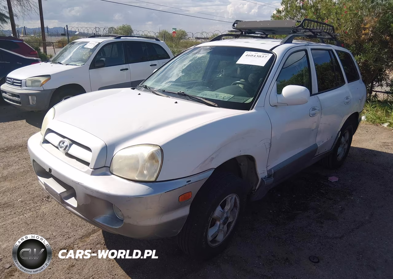 2005 Hyundai Santa Fe Gls VIN:KM8SC73D55U968310 - 2