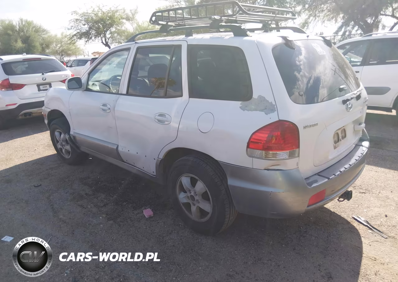2005 Hyundai Santa Fe Gls VIN:KM8SC73D55U968310 - 3