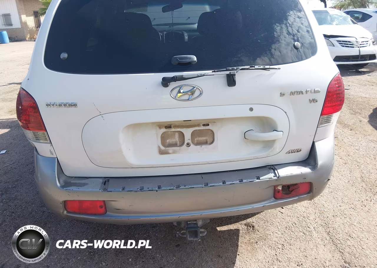 2005 Hyundai Santa Fe Gls VIN:KM8SC73D55U968310 - 6
