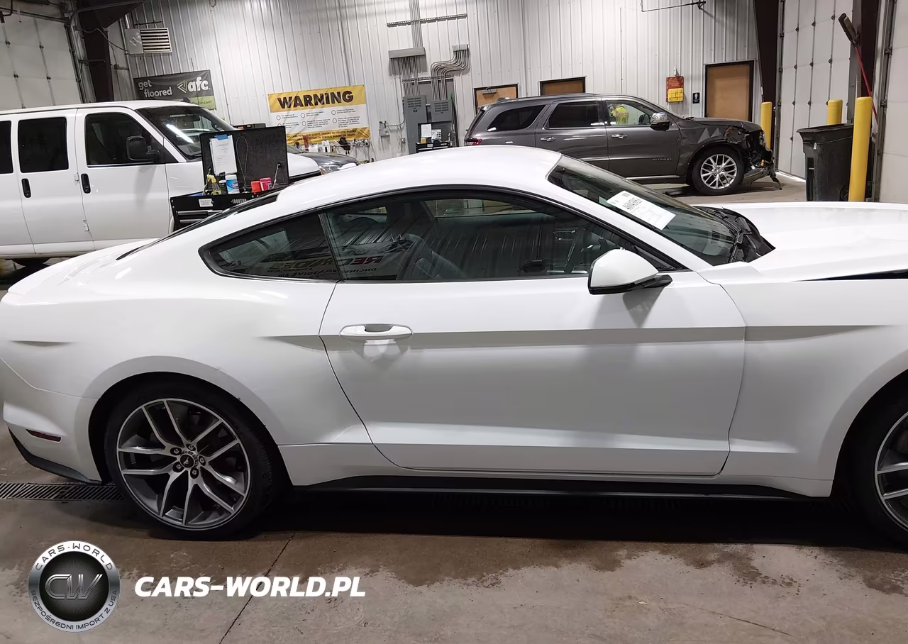 2017 Ford Mustang Ecoboost VIN:1FA6P8TH6H5213738 - 14