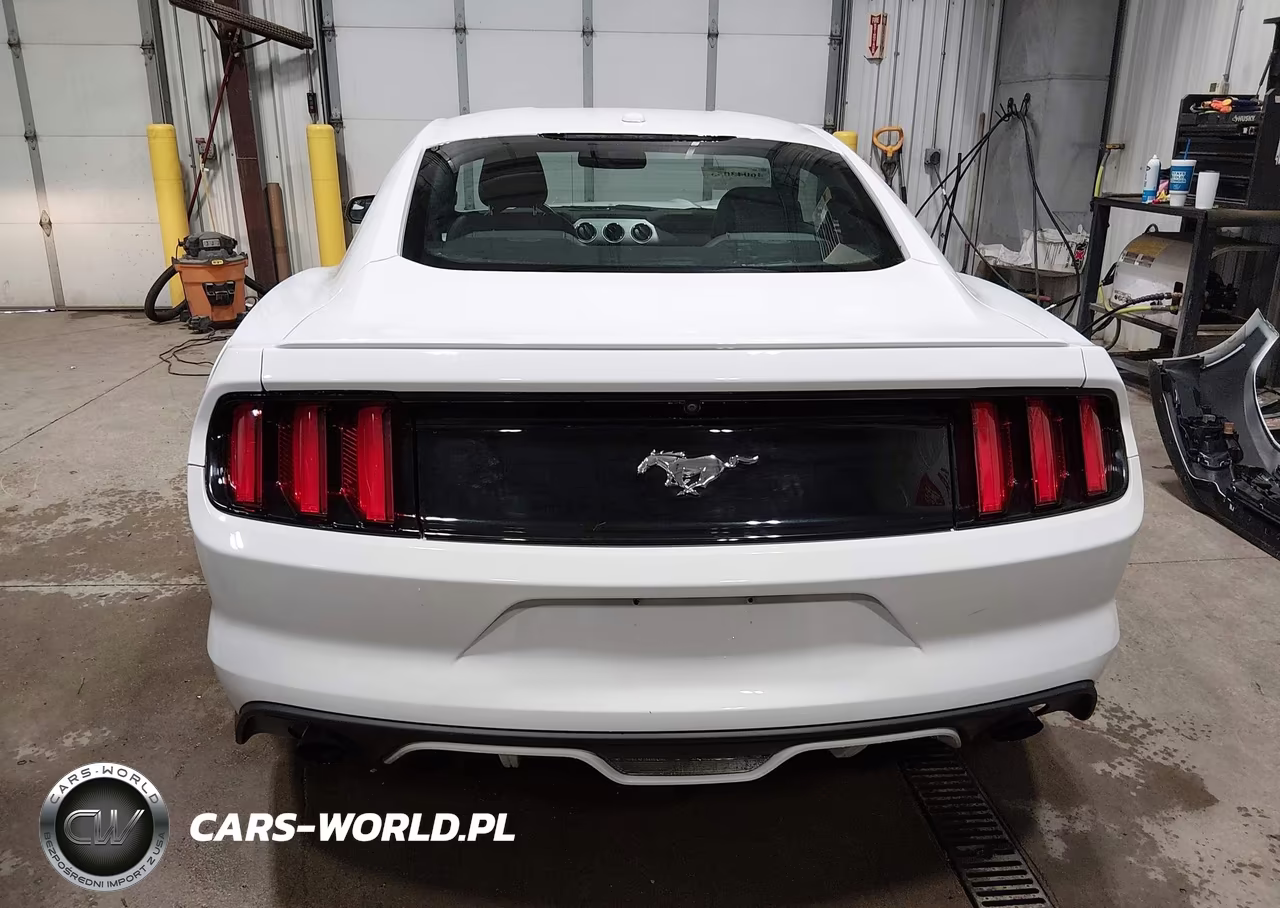 2017 Ford Mustang Ecoboost VIN:1FA6P8TH6H5213738 - 17