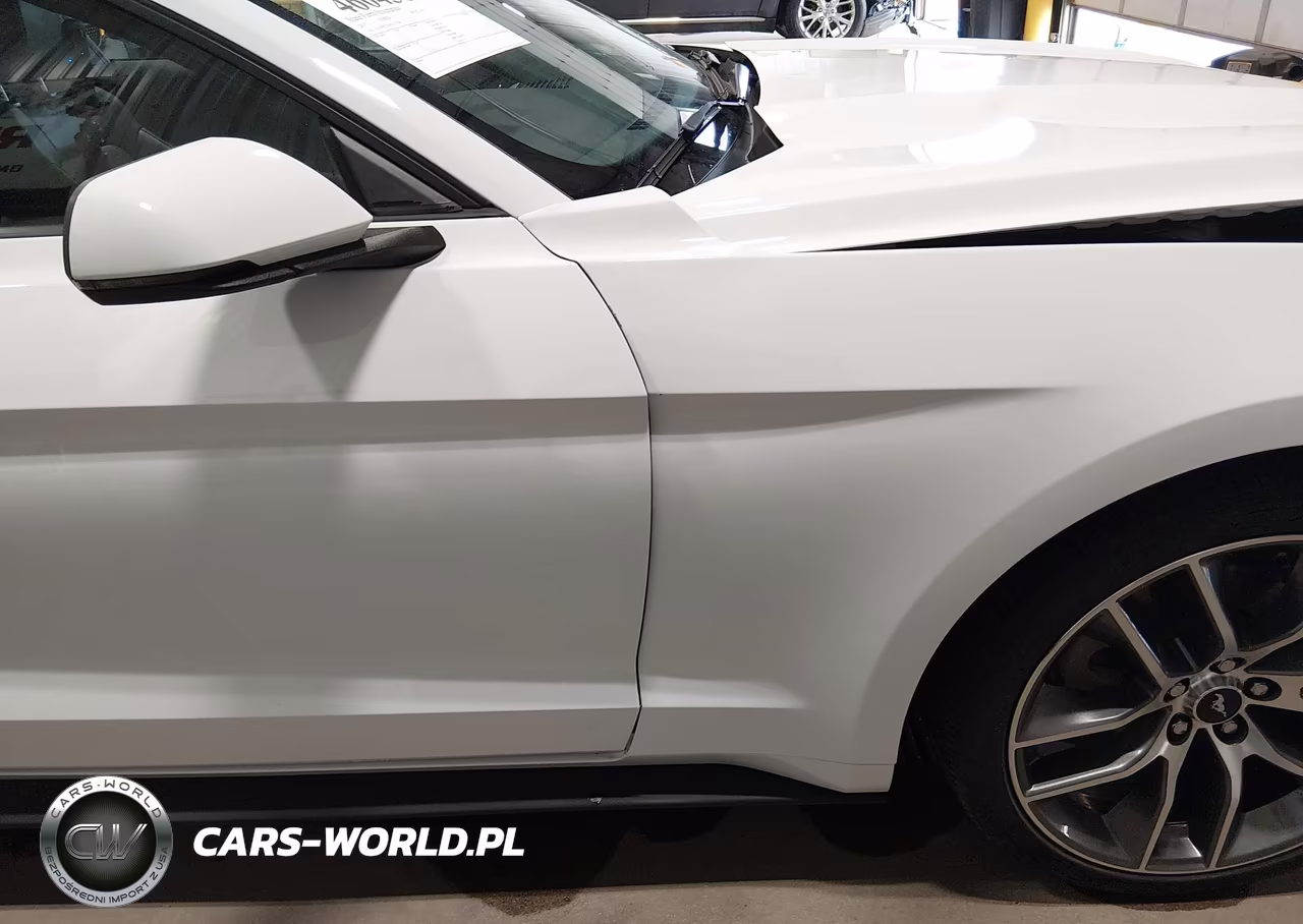2017 Ford Mustang Ecoboost VIN:1FA6P8TH6H5213738 - 18