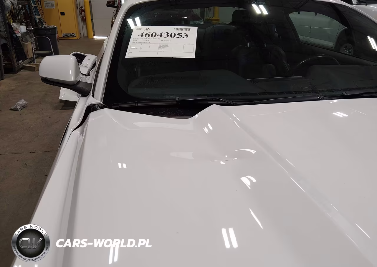 2017 Ford Mustang Ecoboost VIN:1FA6P8TH6H5213738 - 19