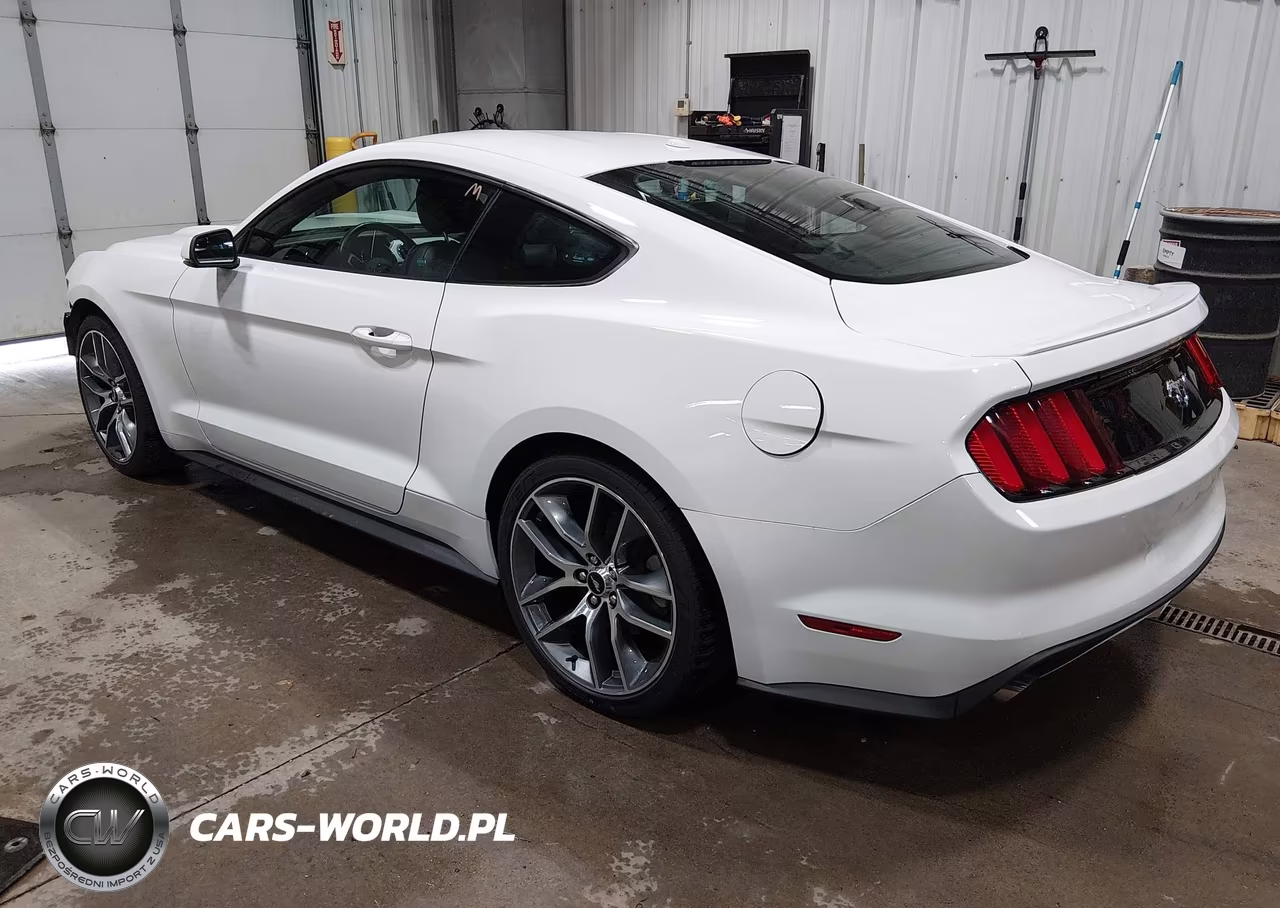 2017 Ford Mustang Ecoboost VIN:1FA6P8TH6H5213738 - 3