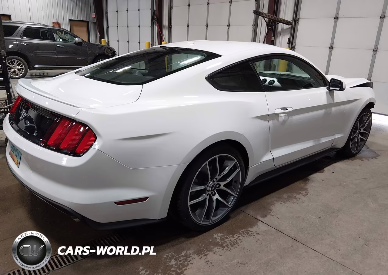 2017 Ford Mustang Ecoboost VIN:1FA6P8TH6H5213738 - 4