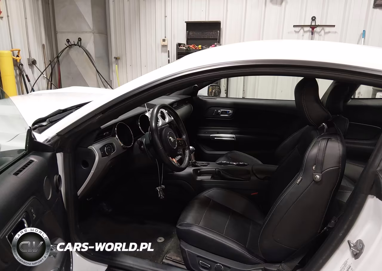 2017 Ford Mustang Ecoboost VIN:1FA6P8TH6H5213738 - 5