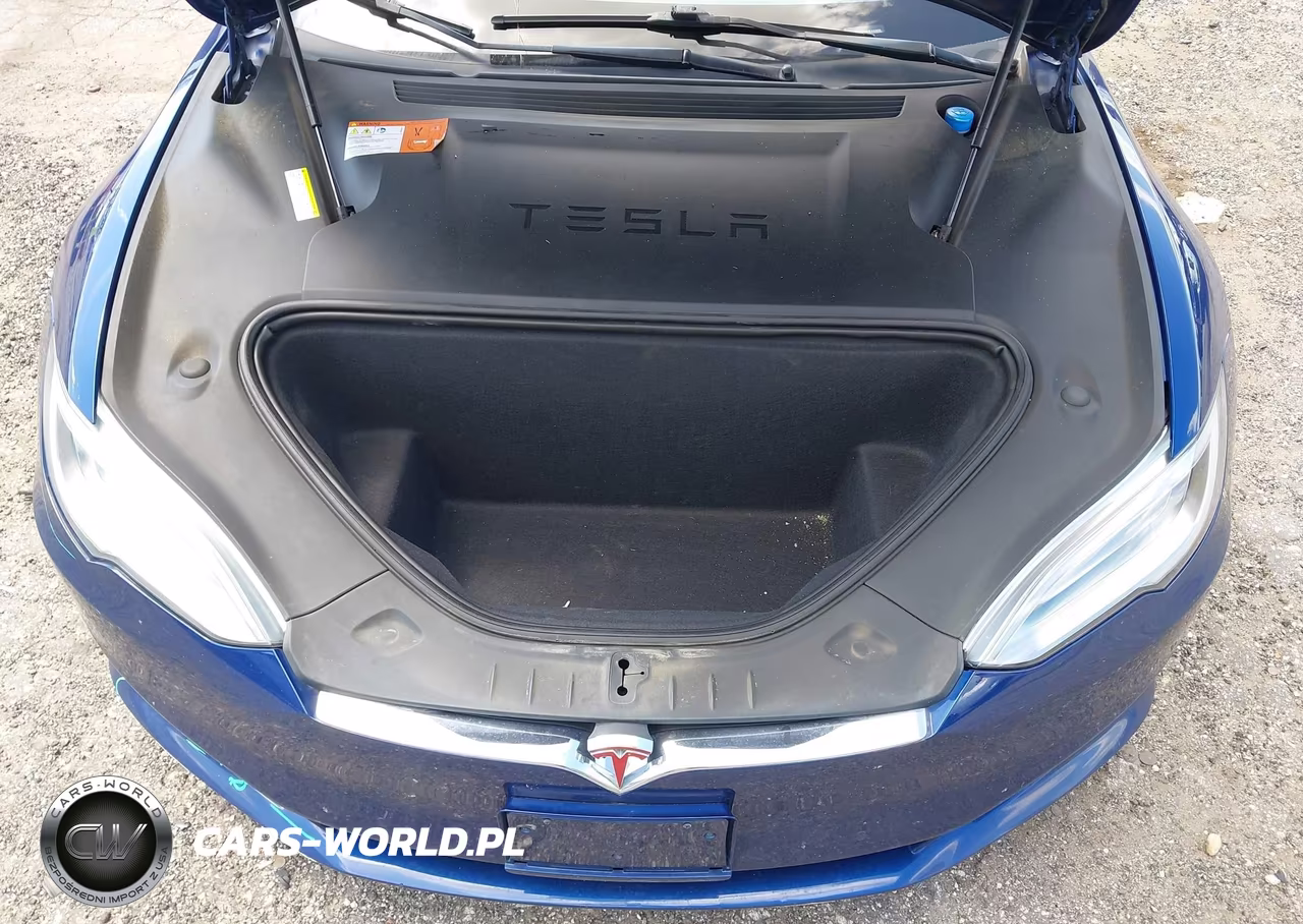 2016 Tesla Model S VIN:5YJSA1E46GF147619 - 10