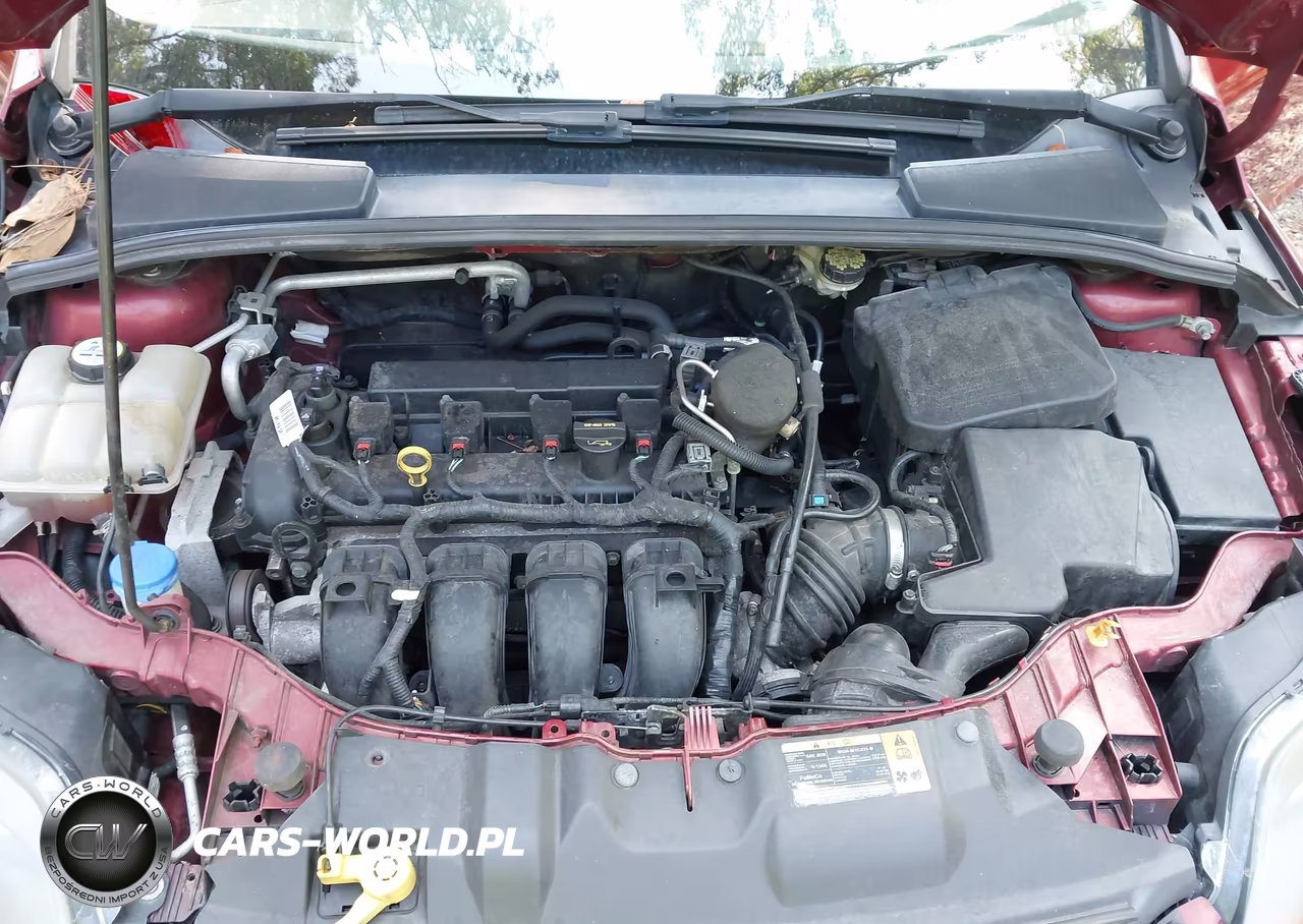 2013 Ford Focus Titanium VIN:1FADP3N23DL241392 - 10