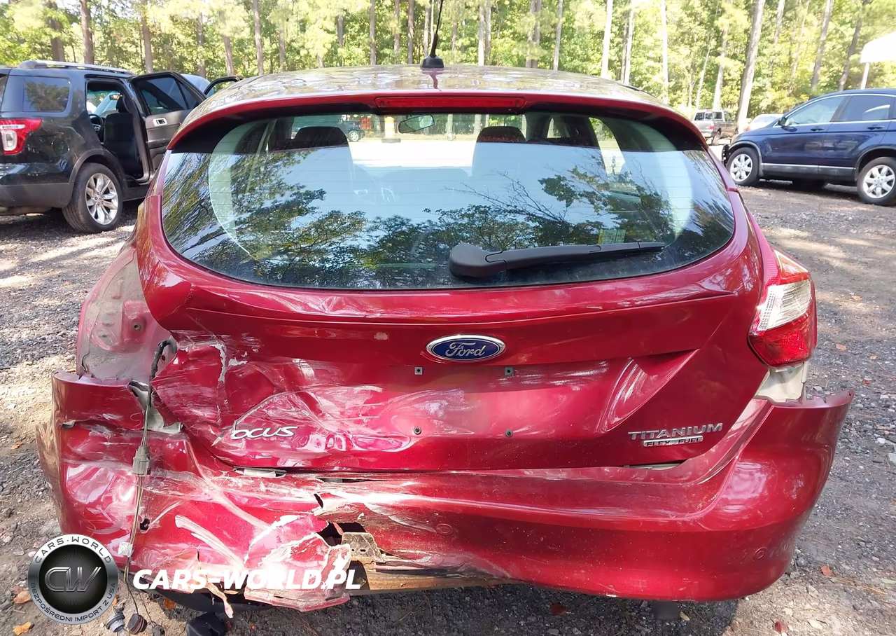 2013 Ford Focus Titanium VIN:1FADP3N23DL241392 - 16