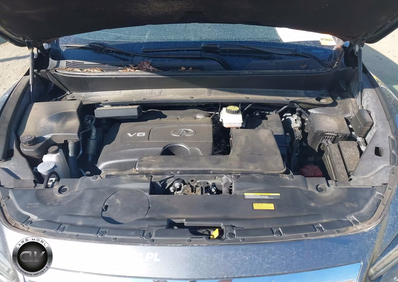 2019 Infiniti Qx60 Pure VIN:5N1DL0MN6KC525964 - 10
