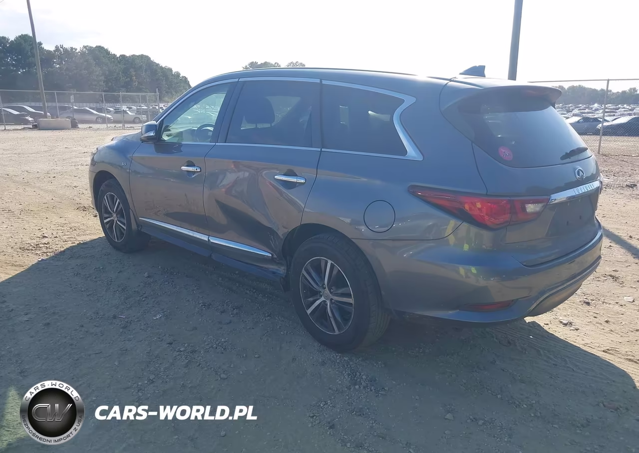 2019 Infiniti Qx60 Pure VIN:5N1DL0MN6KC525964 - 3