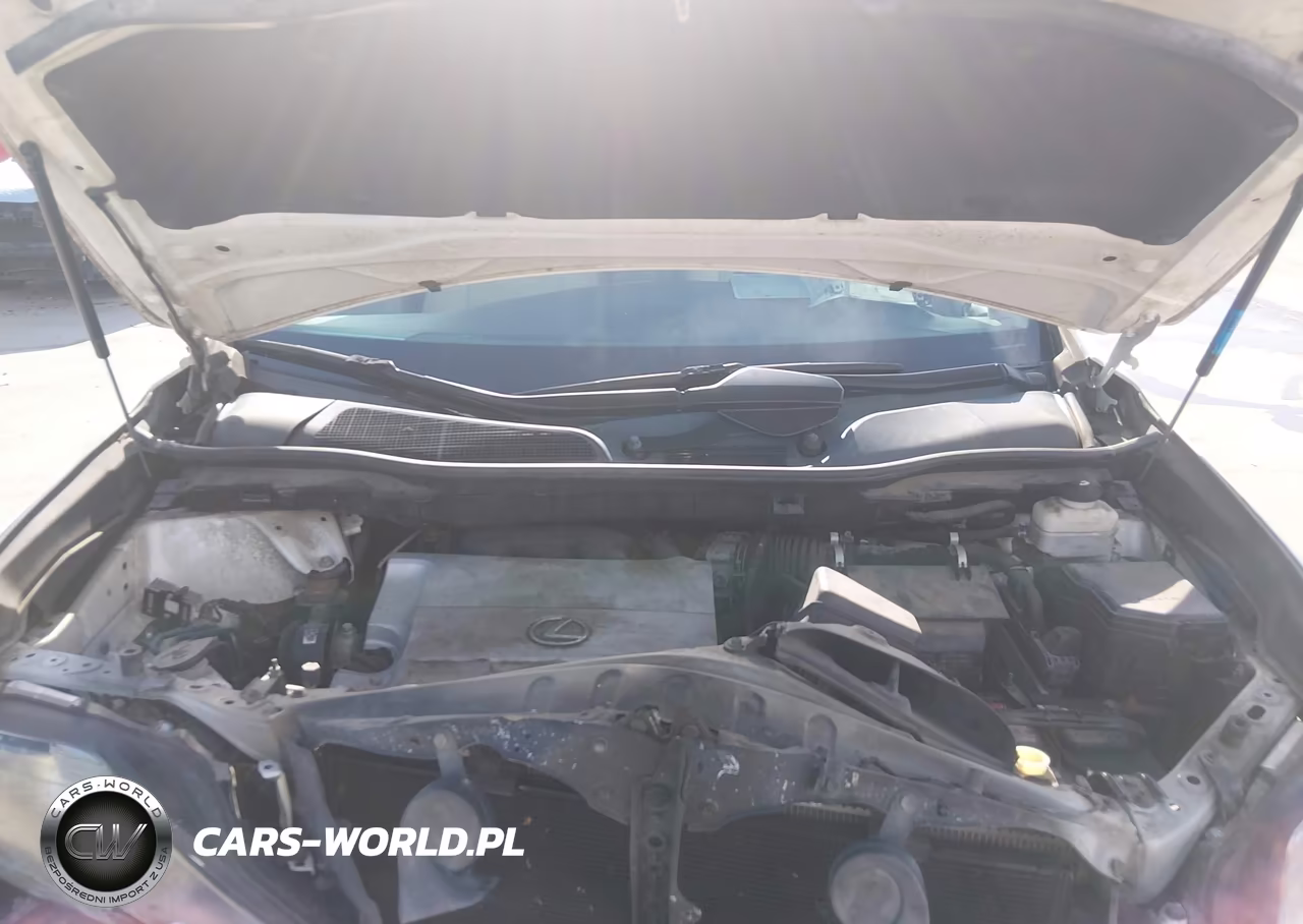 2010 Lexus Rx 350 VIN:2T2ZK1BA3AC030464 - 10