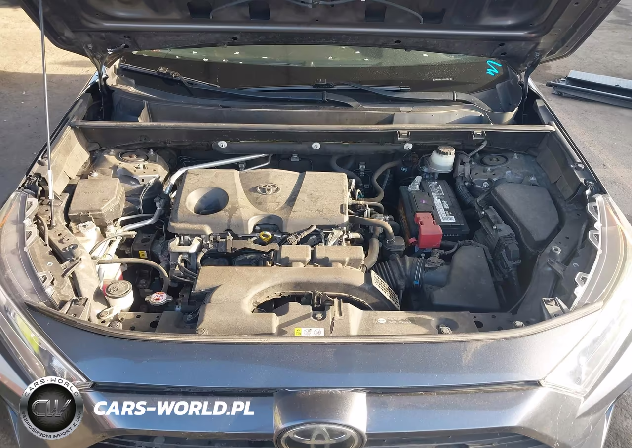 2019 Toyota Rav4 Xle VIN:JTMW1RFV1KD504082 - 10