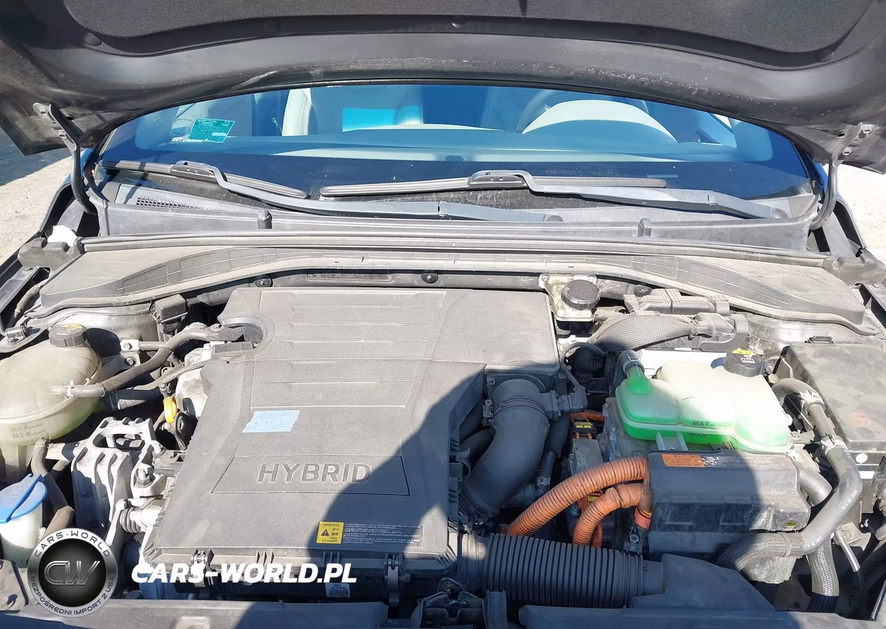 2017 Hyundai Ioniq Hybrid Limited VIN:KMHC85LC3HU021059 - 10