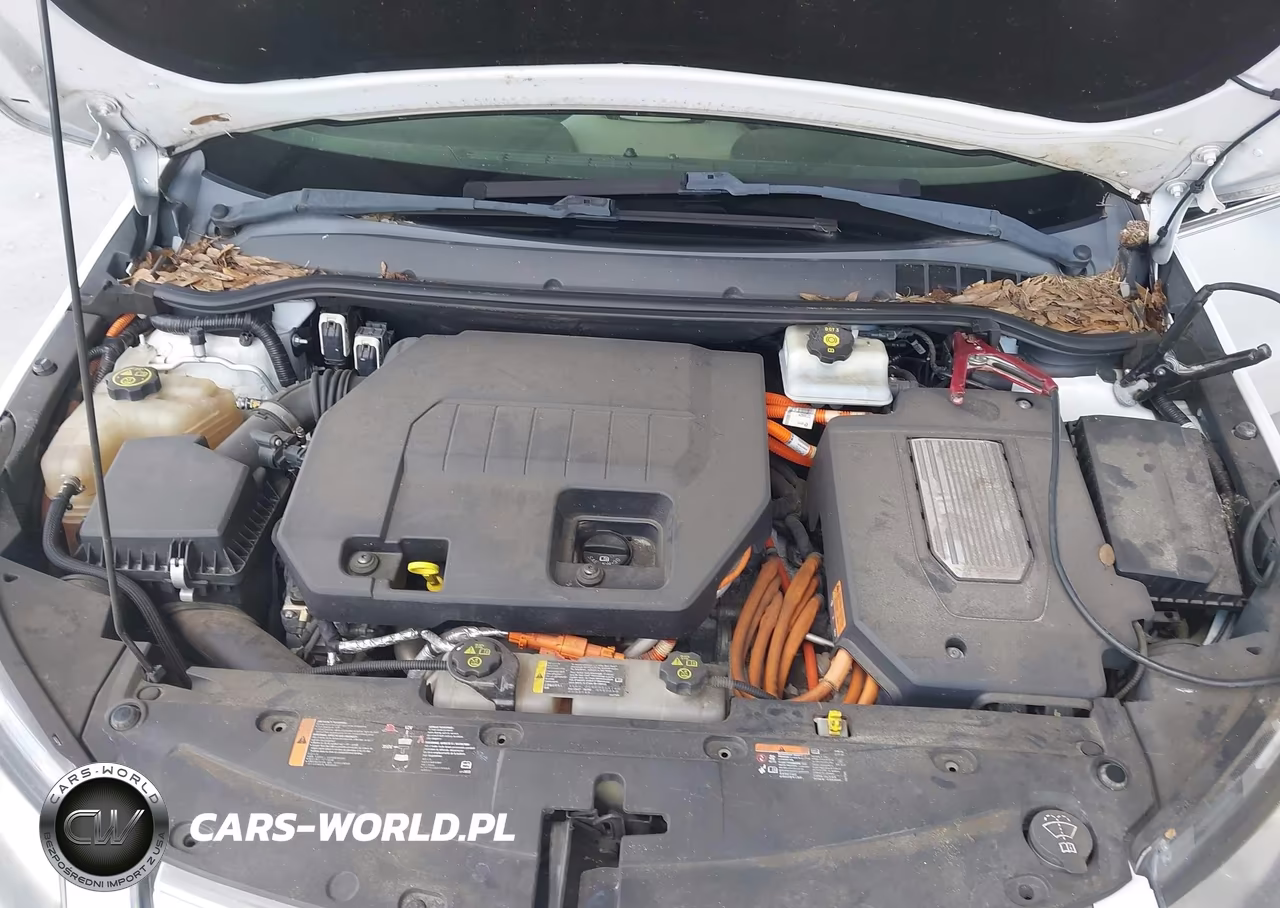 2013 Chevrolet Volt VIN:1G1RA6E47DU123062 - 10