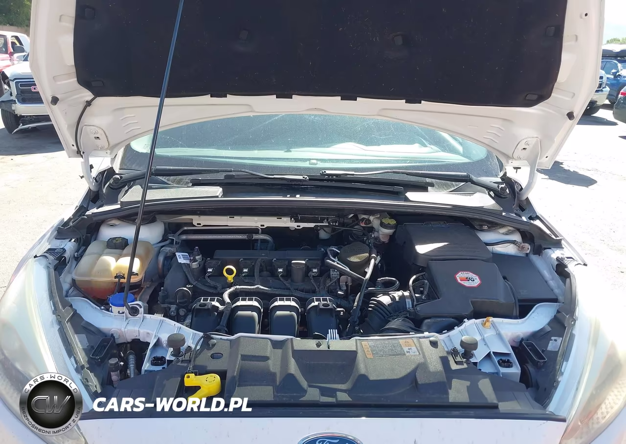 2015 Ford Focus Se VIN:1FADP3K25FL230479 - 10