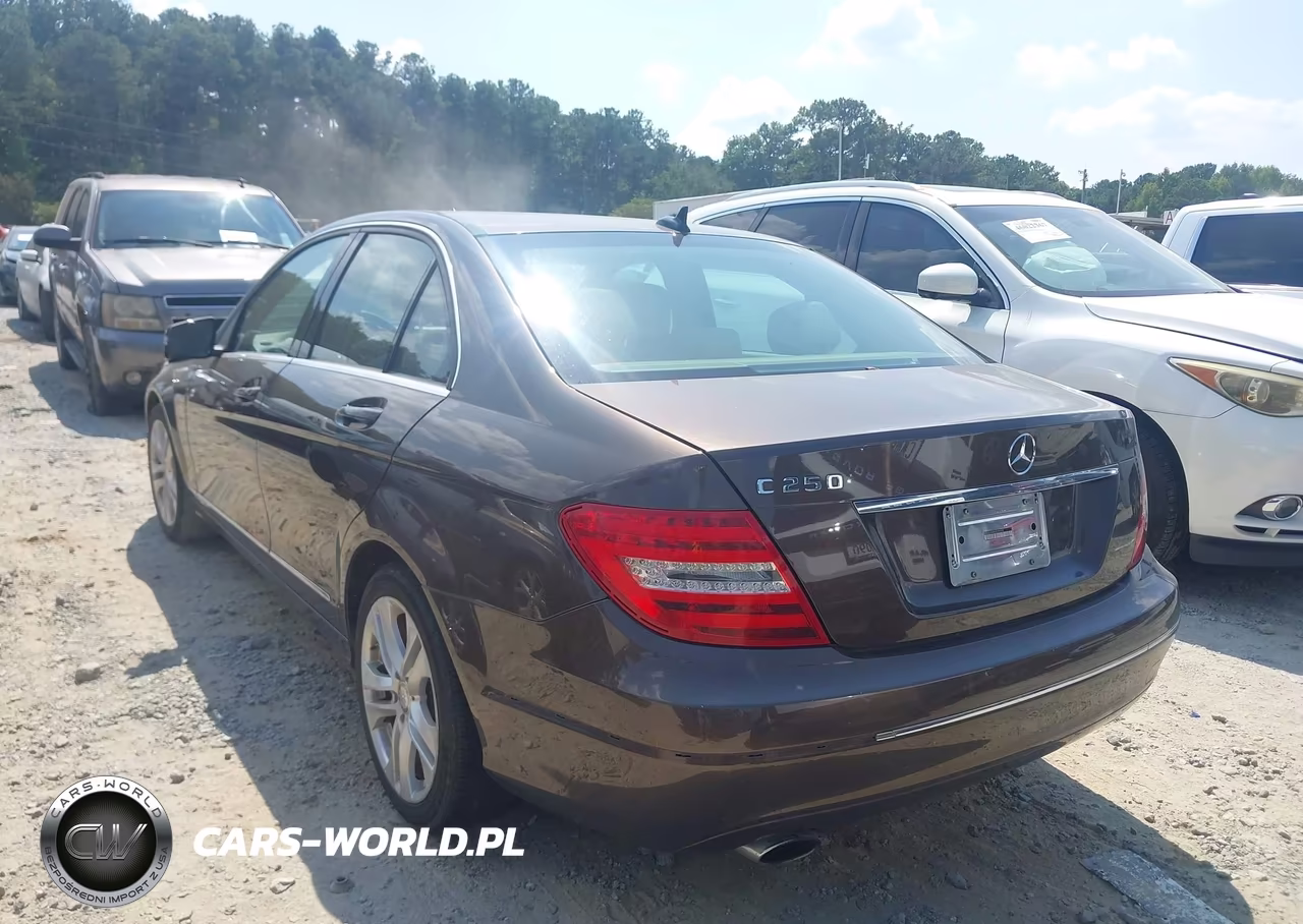 2013 Mercedes-Benz C 250 Luxury VIN:WDDGF4HB4DG099113 - 3