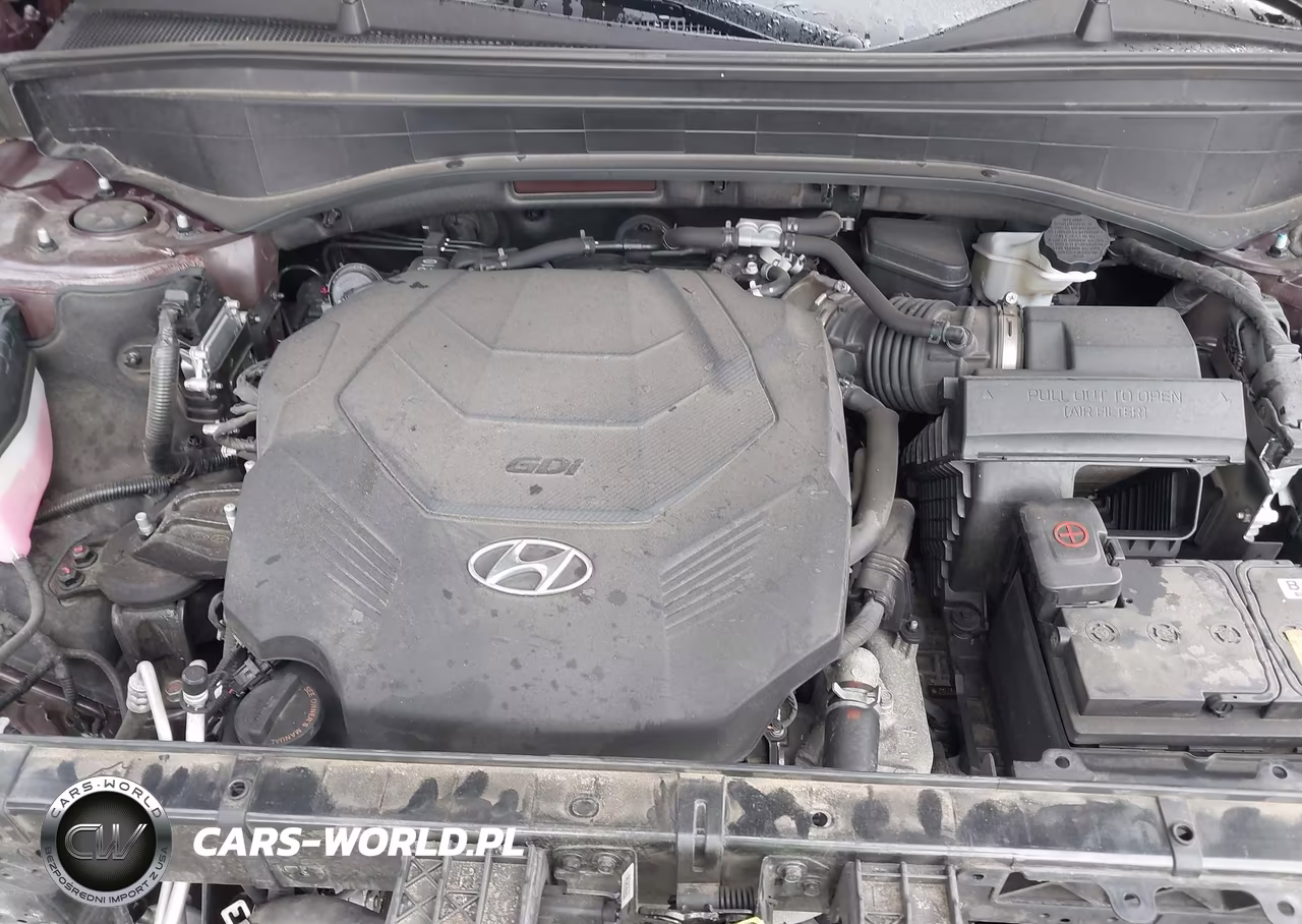 2024 Hyundai Palisade Sel VIN:KM8R24GE9RU787140 - 10