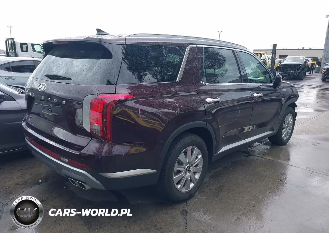 2024 Hyundai Palisade Sel VIN:KM8R24GE9RU787140 - 4