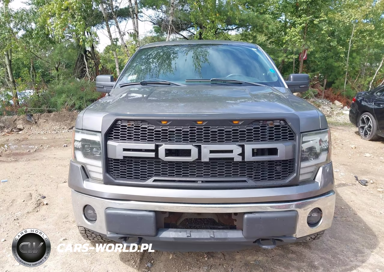 2012 Ford F-150 Xlt VIN:1FTFW1EF9CFB74677 - 12