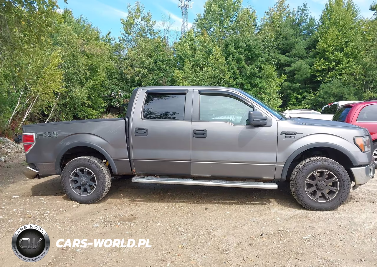 2012 Ford F-150 Xlt VIN:1FTFW1EF9CFB74677 - 13