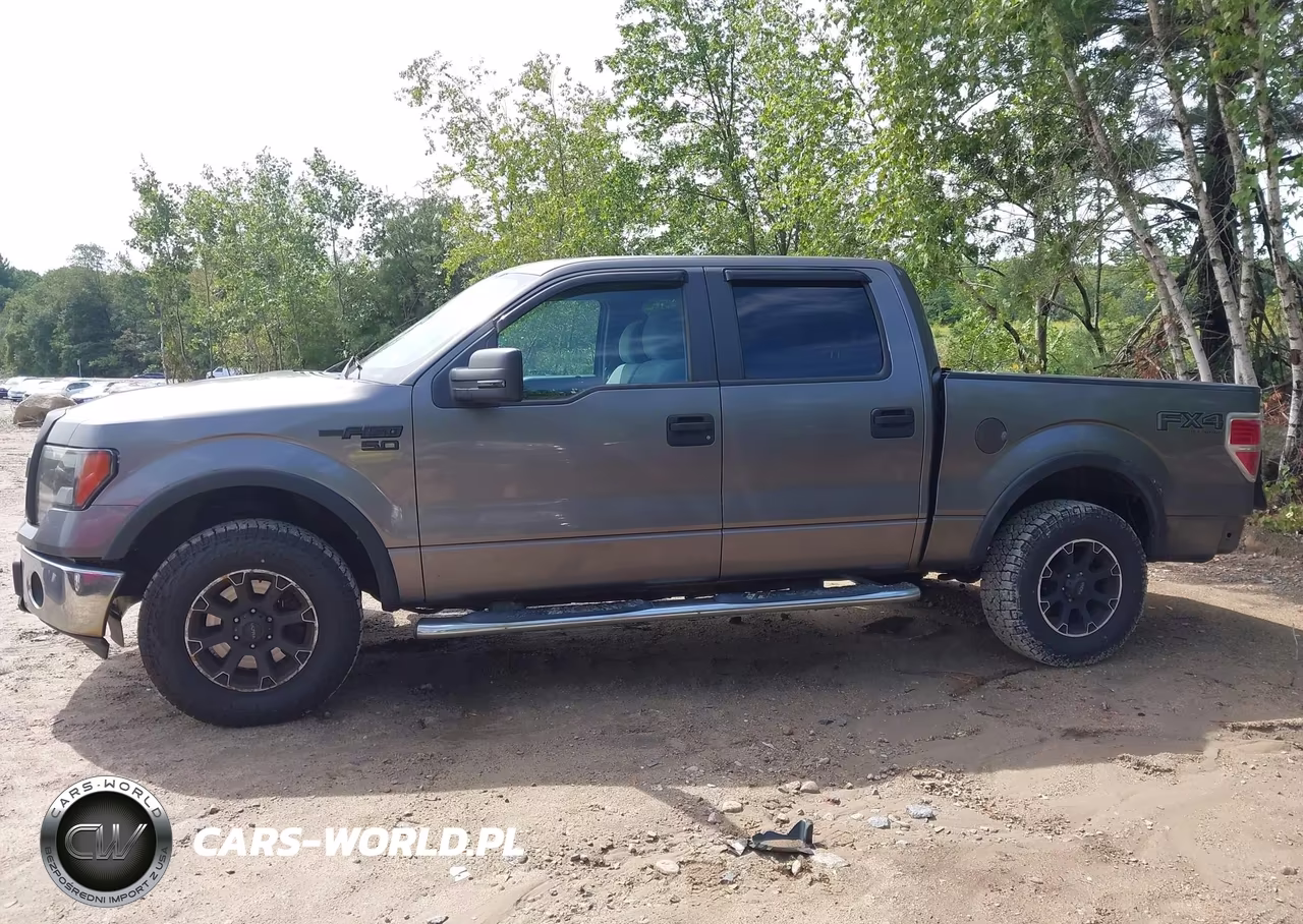 2012 Ford F-150 Xlt VIN:1FTFW1EF9CFB74677 - 14