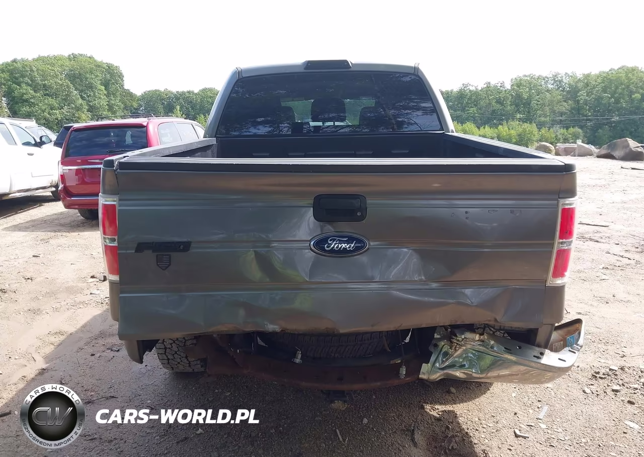 2012 Ford F-150 Xlt VIN:1FTFW1EF9CFB74677 - 16