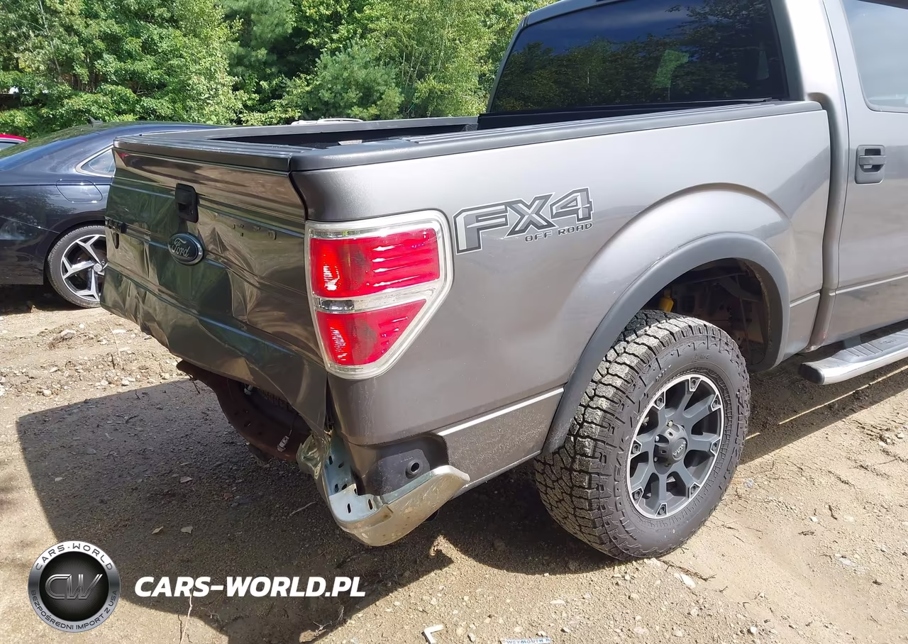 2012 Ford F-150 Xlt VIN:1FTFW1EF9CFB74677 - 17