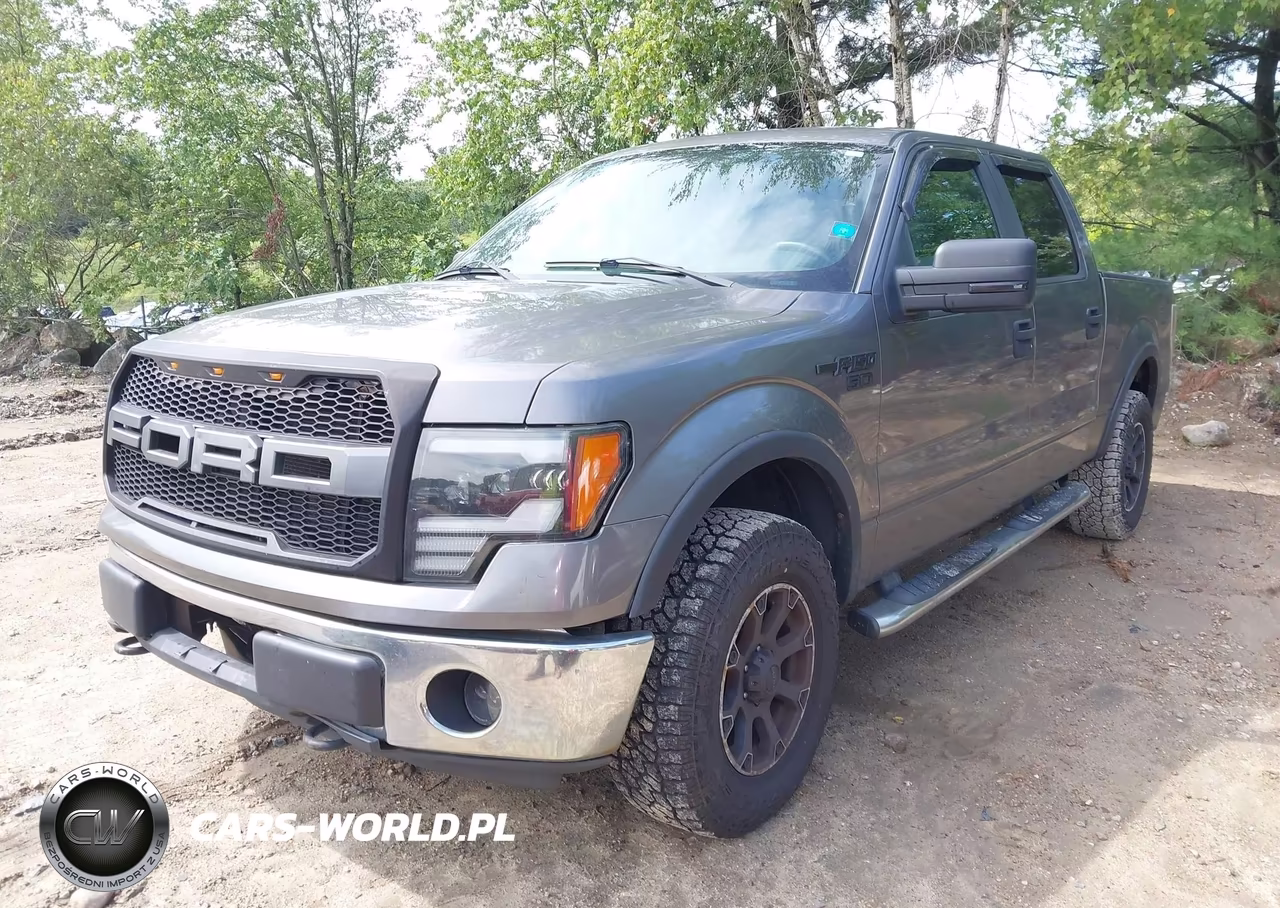 2012 Ford F-150 Xlt VIN:1FTFW1EF9CFB74677 - 2