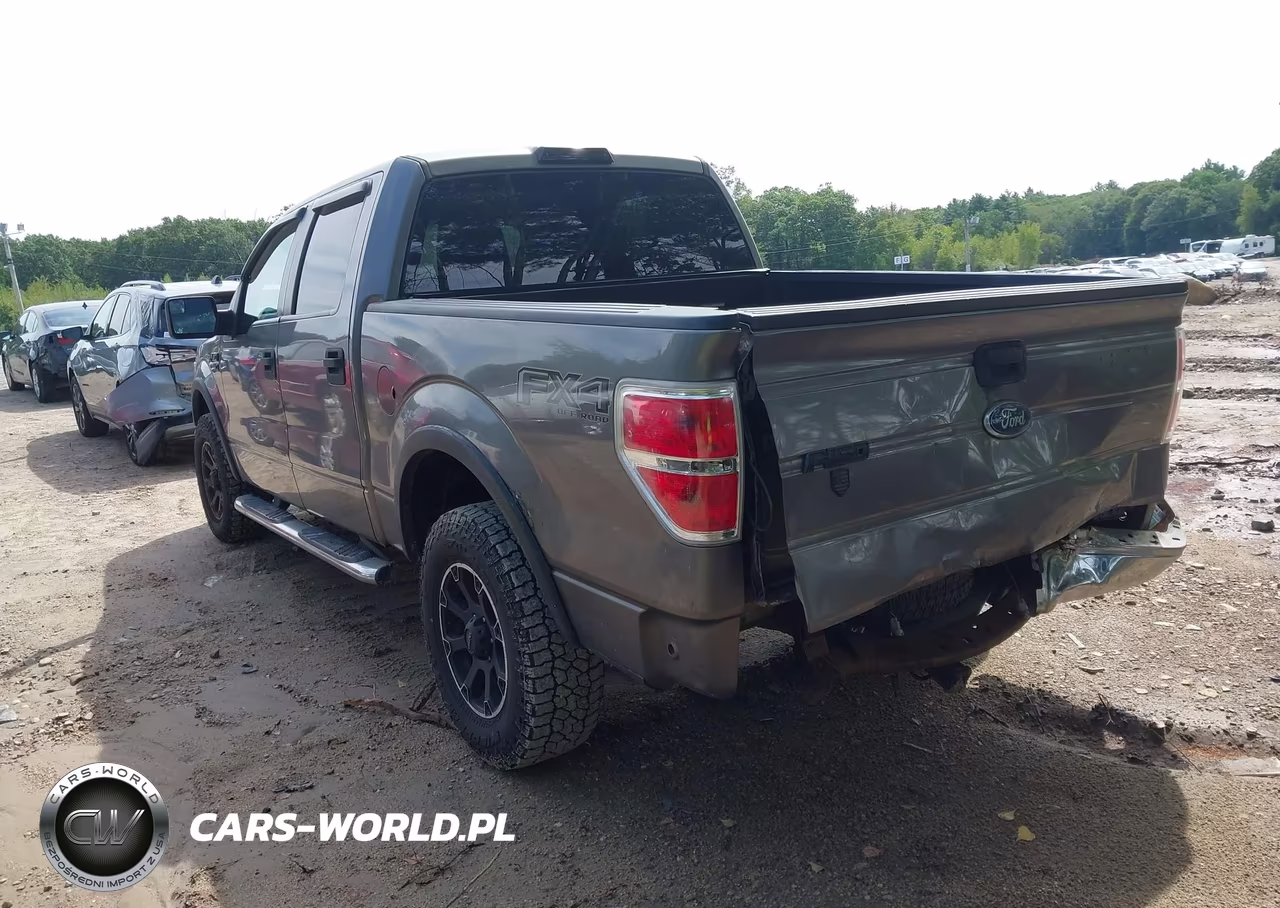 2012 Ford F-150 Xlt VIN:1FTFW1EF9CFB74677 - 3