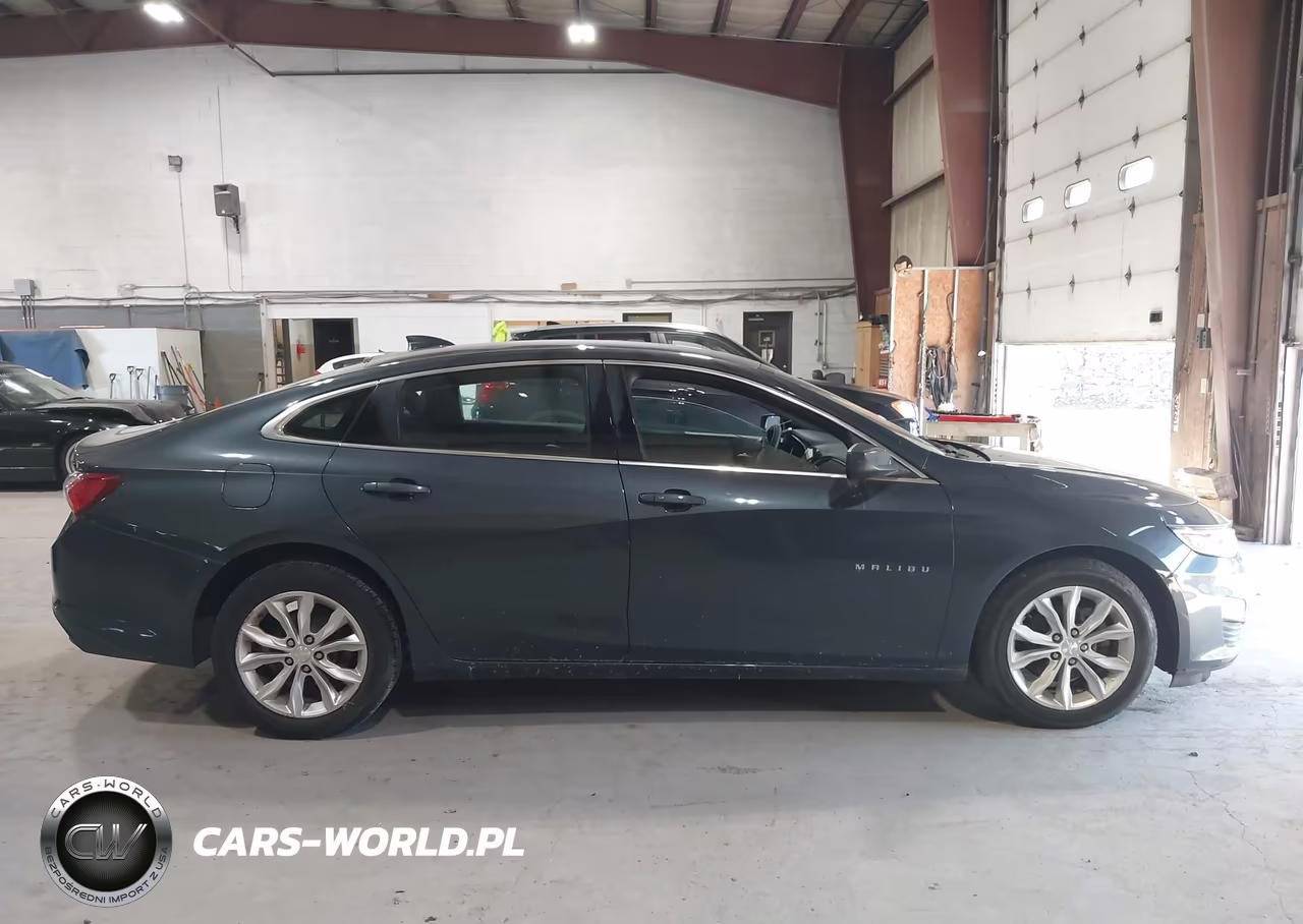 2019 Chevrolet Malibu Lt VIN:1G1ZD5ST6KF119017 - 13