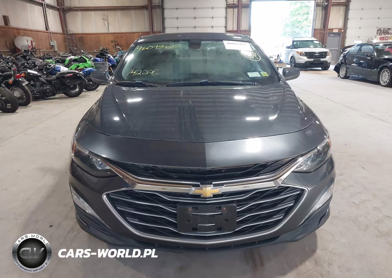 2019 Chevrolet Malibu Lt VIN:1G1ZD5ST6KF119017 - 6