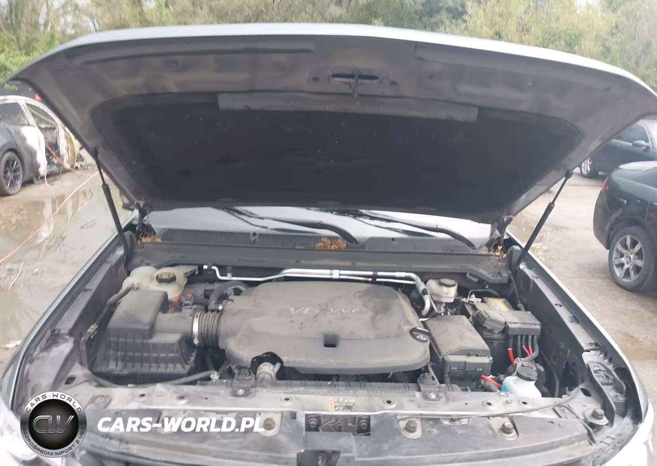 2019 Chevrolet Colorado Z71 VIN:1GCGTDEN7K1114043 - 10